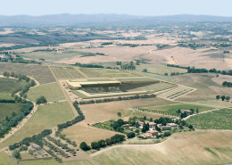 03_Stadio di Siena_1